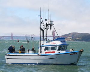 San Francisco Fishing Boat Trips at Flash Sport Fishing Charters