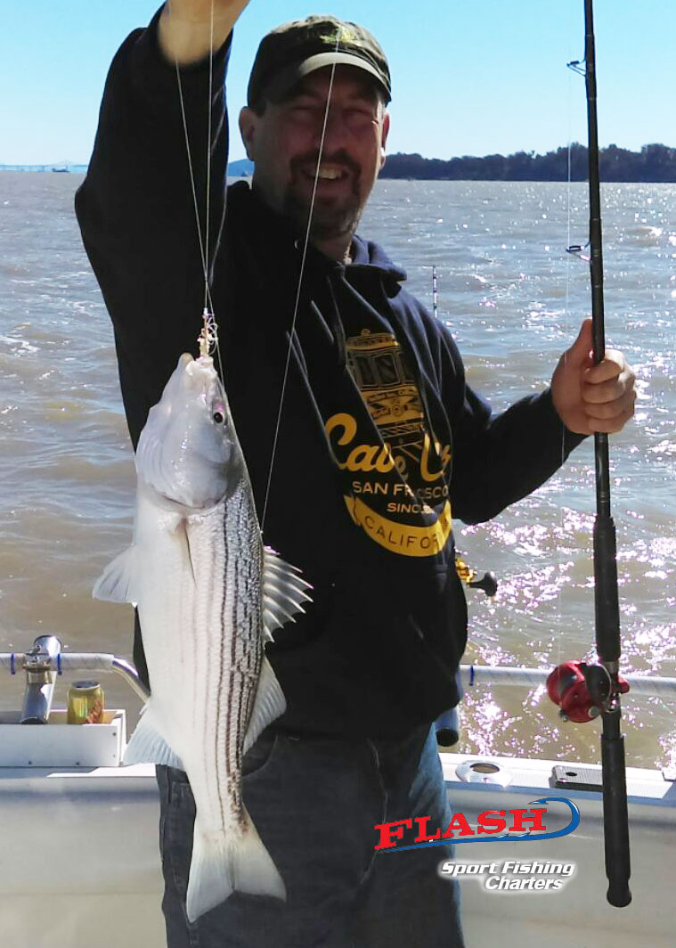  San Francisco Fishing Charters Fishing report 2 21 19 - Flash Sport 