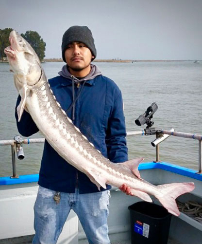  San Francisco Fishing Charters. Report 01 11 21 - Flash Sport Fishing 